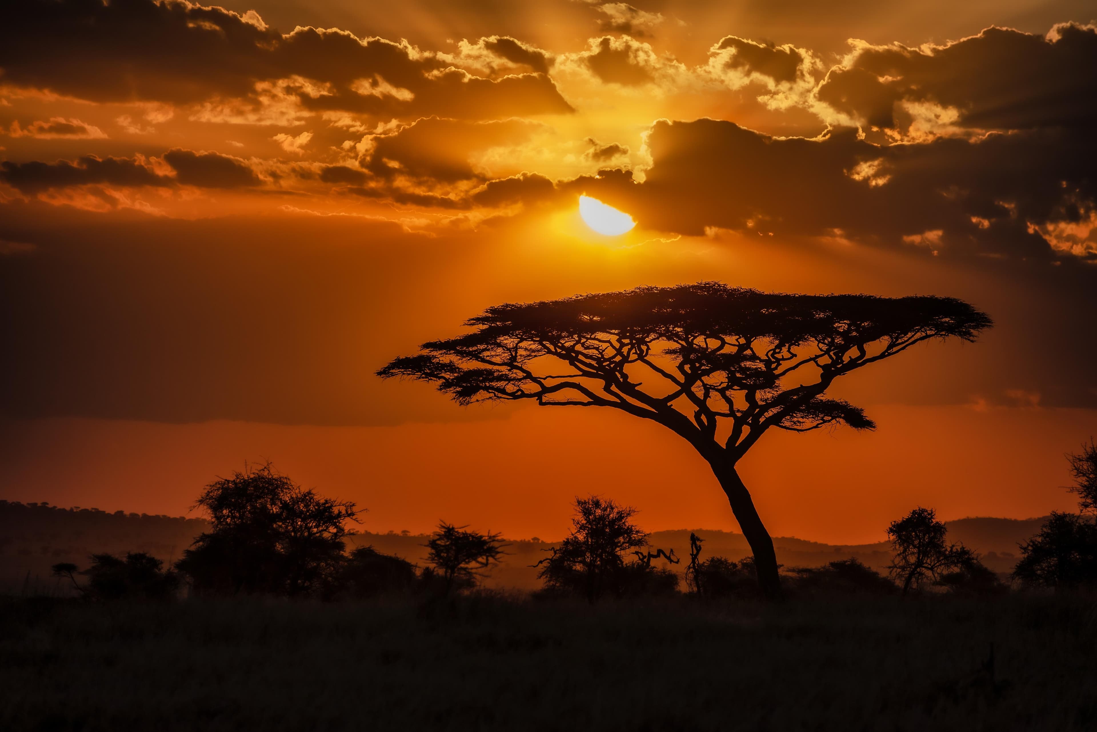 Safaris – Wildlife & Nature Adventures